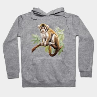 Squirrel Monkey Hoodie